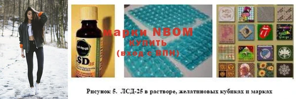 индика Алзамай
