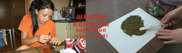 соль ск Осинники