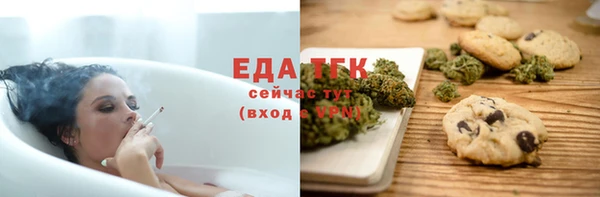 индика Алзамай