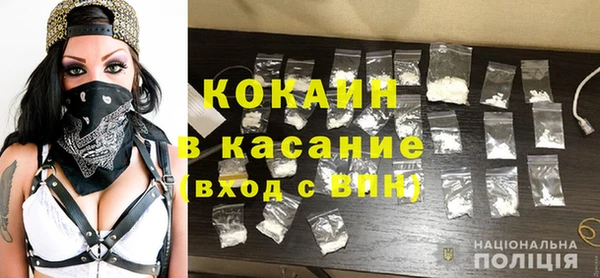 индика Алзамай