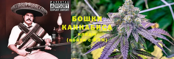 соль ск Осинники