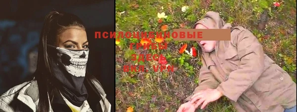 дживик Алексин